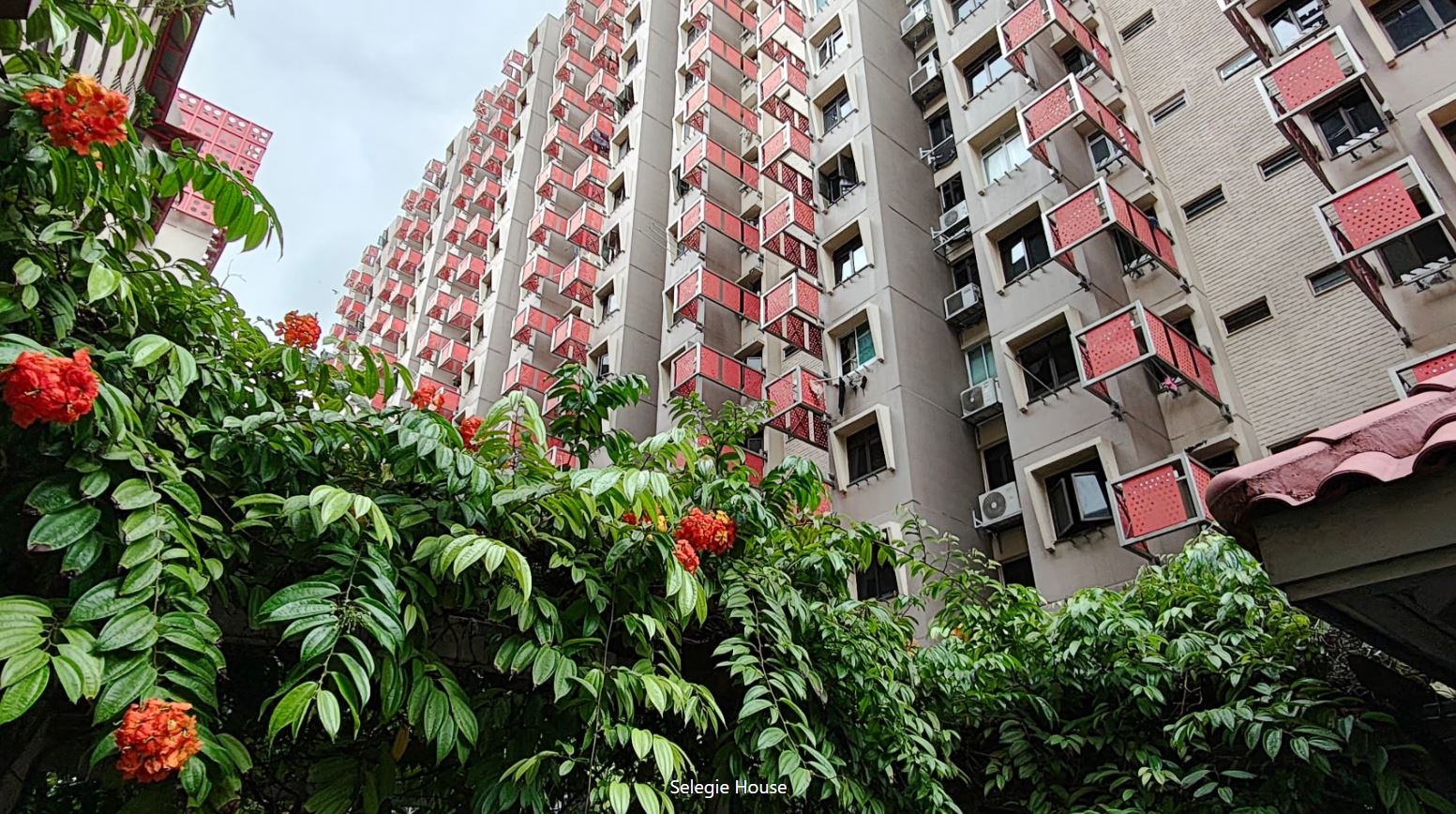 Selegie House exterior con vegetación tropical
